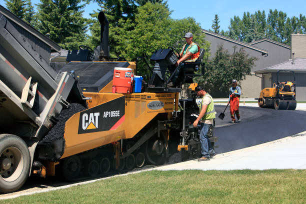 Best Decorative Driveway Pavers  in Taft, FL